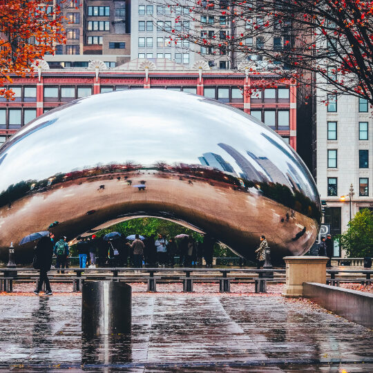 Chicago Thumb